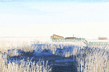 財神魚養殖，白財神魚怎麼養