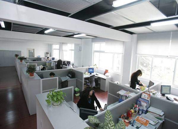 辦公室可以養睡蓮嗎？辦公室養睡蓮會招厄運？