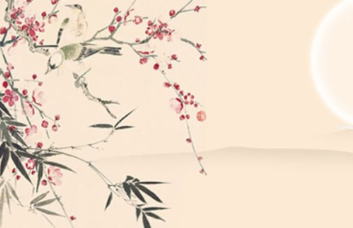 車牌尾號字母代表幾號 數字寓意號的車牌號