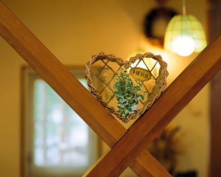 蛇年家居綠植的開運要點