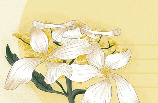 屬牛出生年月日時間命運,牛人哪日出生是上等之命