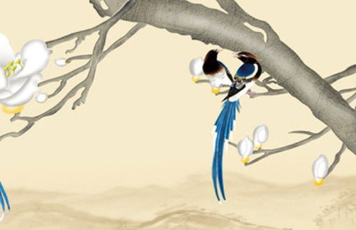 3位組合最漂亮車牌號碼 這個組合帶來財運旺盛