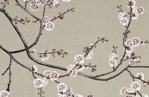 女人帶財運的手機號什麼號碼最好 吉祥的號碼