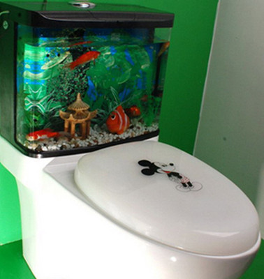 衛生間風水禁忌