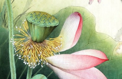 手機尾號77吉祥嗎 最新有特點的數字型大小碼