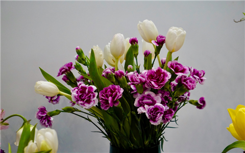 2019年桃花位擺件，注意禁忌才能更好的催旺桃花