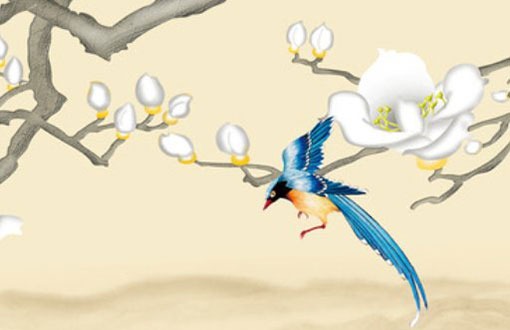 私家車牌號0開頭 數字0五行可保財