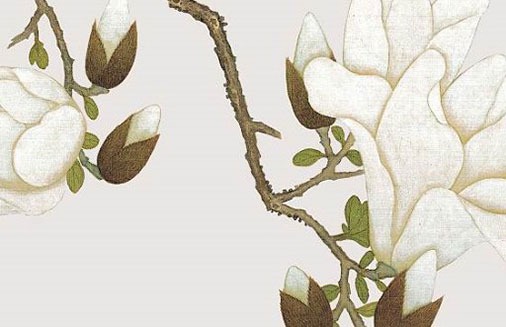 車牌號一般怎麼選吉利 盤點開頭聚財的車牌號