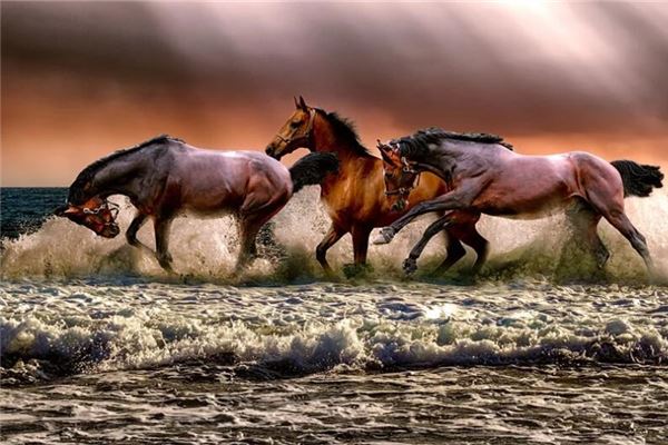 什麼家庭不宜掛八駿圖