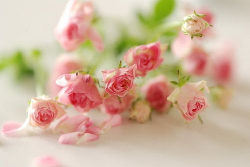 怎麼樣能走桃花運