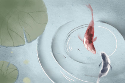 風水魚養幾條 有什麼講究嗎