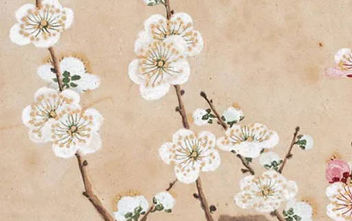 六月六日出生的女孩子 親善和睦有魅力