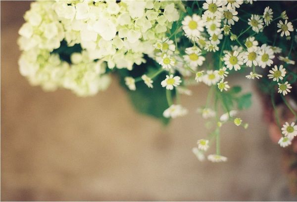 花飾風水　讓你更優雅更美