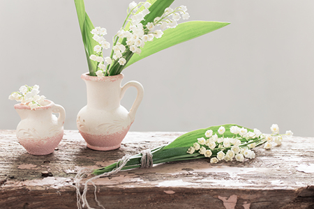 2020年屬虎人的風水運勢