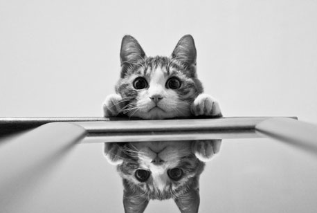 歹運來臨的8大風水徵兆