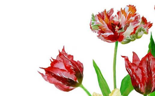 2021的寶寶是什麼命格 2021年出生的人五行屬什麼