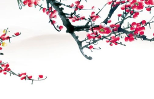 自選車牌號怎麼選靚號 最新版靚號數字須知