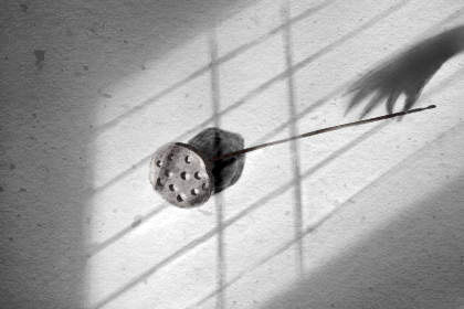 樓層買單不買雙為什麼 科學嗎