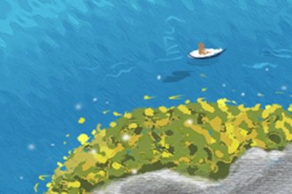 如何選擇開運吉祥物？