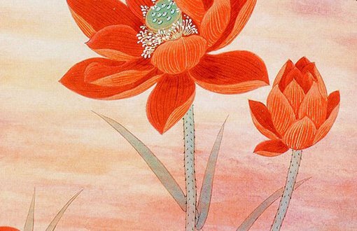 女人旺的吉祥手機號碼 女人旺桃花手機號