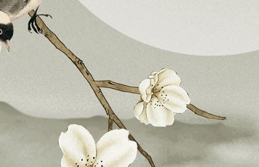 小車車牌號碼選吉祥號 吉利車牌選擇小技巧