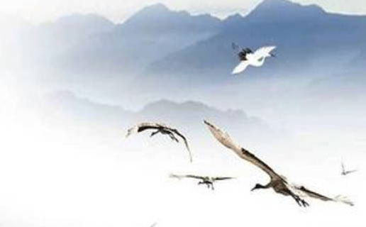 2022年3月出生的虎寶寶什麼時候懷孕 三月出生的虎寶寶運勢如何