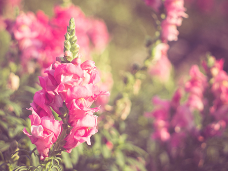 2020年不適合搬家的情況