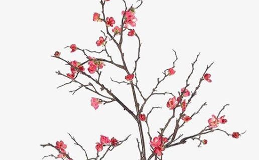 牛寶寶避開幾月生比較好 幾月出生的牛寶寶命好