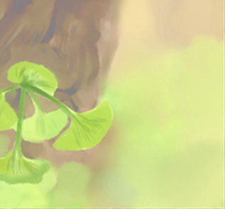 十大家居風水的凶兆