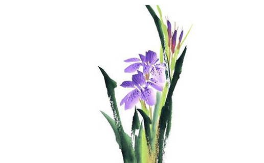 女人生在午時命硬 陽氣最旺時出生會怎麼樣