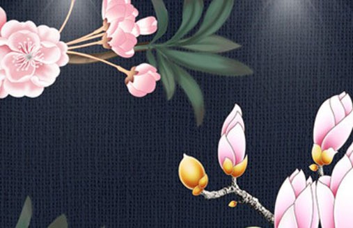 車牌號帶9非常好 五行數字對應吉祥車牌號