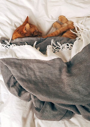 卧室有橫樑怎麼化解？不花錢也能保平安