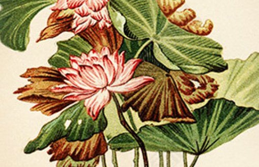 2222手機號為啥沒人用 風水意念好電話號碼