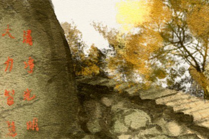 如何正確擺放綠蘿 讓生活更加生機勃勃