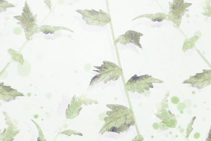 卧室牆壁顏色不對，主人精神不濟