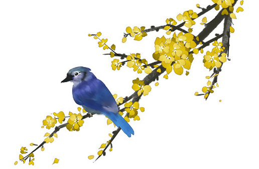 2021年牛寶寶幾點出生最好,未時出生的牛人婚姻幸福