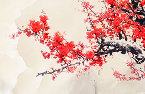 選車牌號怎麼才能選到好號 吉祥牌號有連號