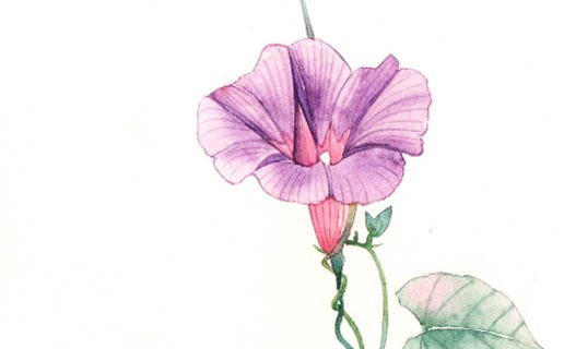 屬鼠的男孩子午時出生好不好 出生在鼠年的優缺點