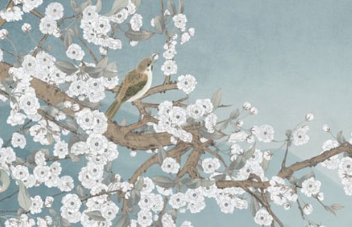 車牌號最吉利的尾數 盤點發發發大財車牌號