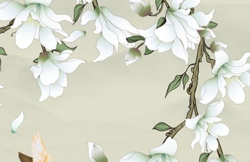 車牌號為什麼不要7和4 諧音不佳寓意好