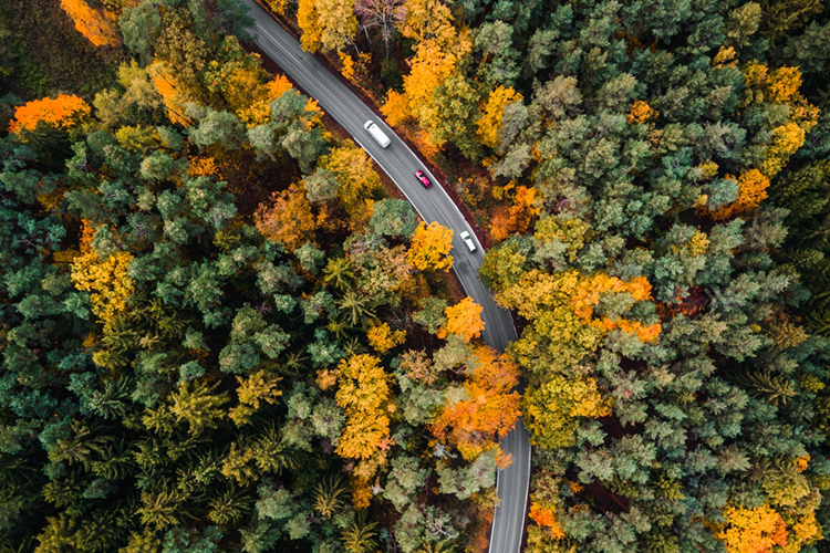 風水中的井字煞是什麼 運氣反復無常