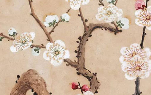 六月六生的人是什麼命 健康飲食需注意