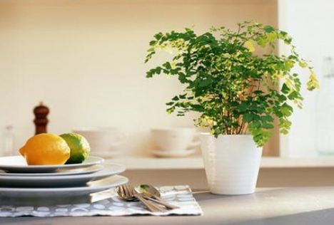 風水中的「五花八門」