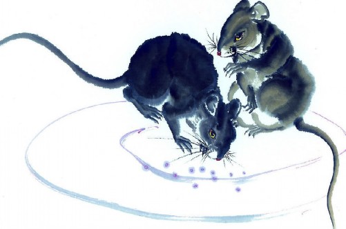 鼠年出生的人命運怎麼樣