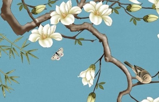 選車牌號哪些英文字母最吉利 熱門牌號大盤點