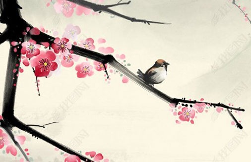 車牌168的說法 寓意發財的熱門靚號