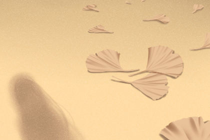 風水什麼能增加室內的陽氣 增加陽氣的植物