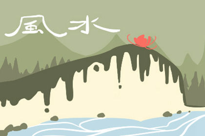 什麼花不能養在家裡 養花風水禁忌