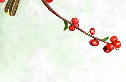 屬牛人哪天出生命最好,生肖牛幾月生能走好運