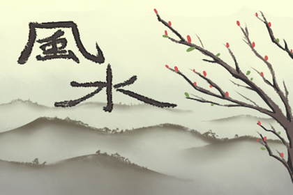 客廳的風水如何影響一個人的事業發展